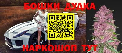 индика Ликино-Дулёво