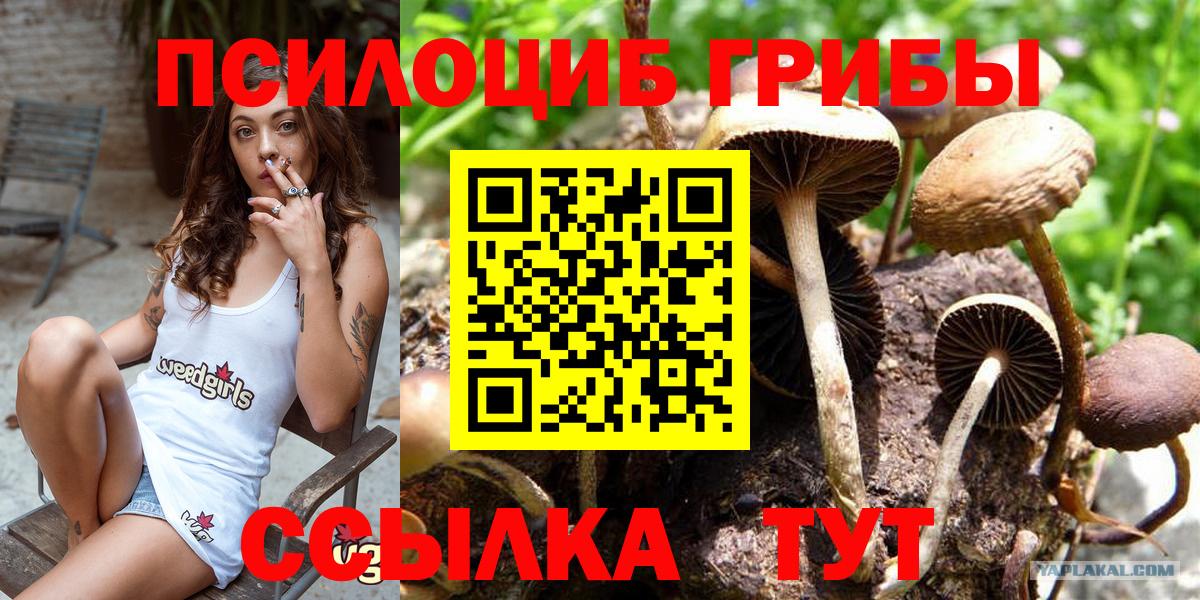 Псилоцибиновые грибы мухоморы Елабуга
