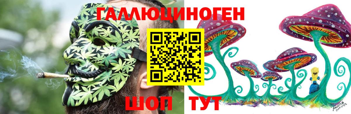 магазин  наркотиков  Вход с VPN  Елабуга  Псилоцибиновые грибы прущие грибы 